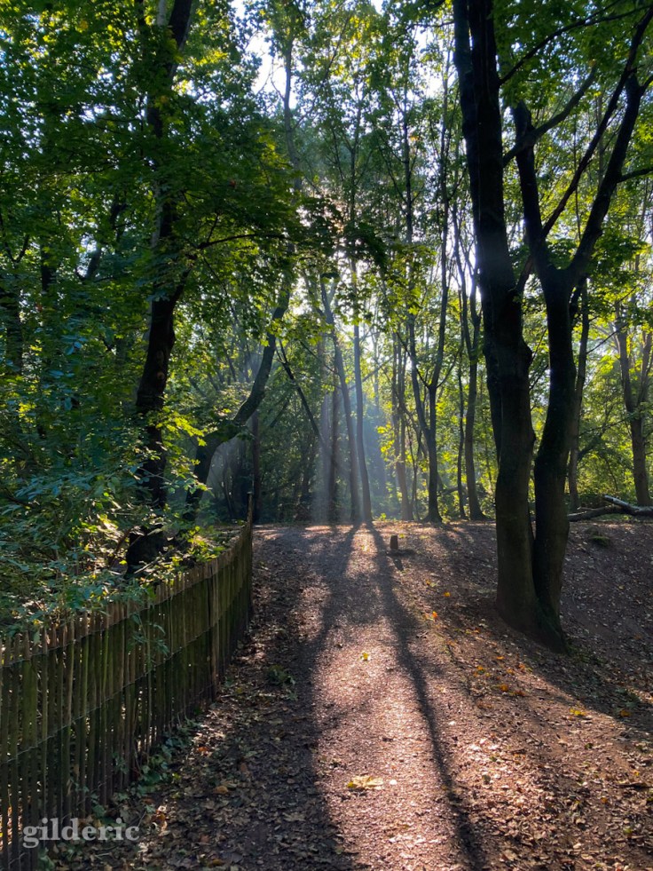 Lumière (d'automne) au bout du chemin - Fort de la Chartreuse