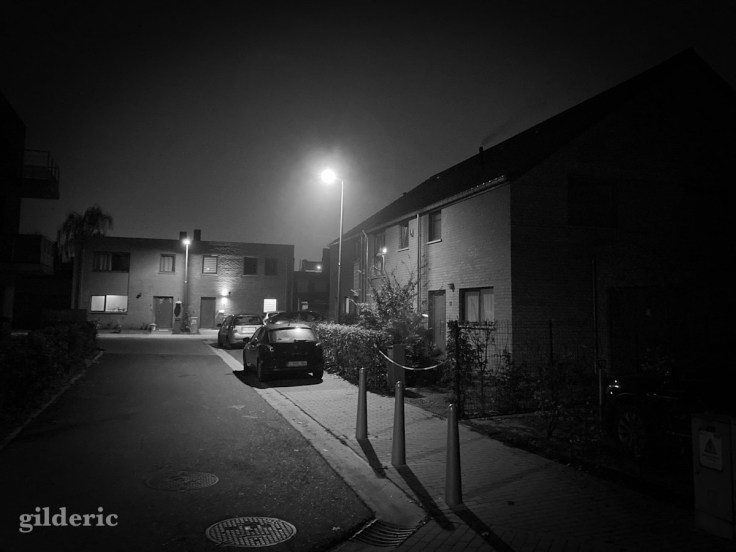 Black Friday : mystère en banlieue à Grivegnée (Liège)- photo noir et blanc