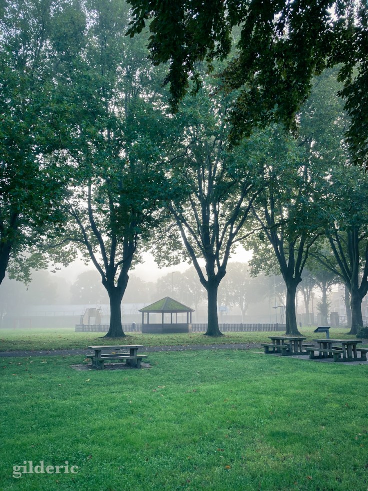 Brume et mystère à Péville (Grivegnée, Liège)