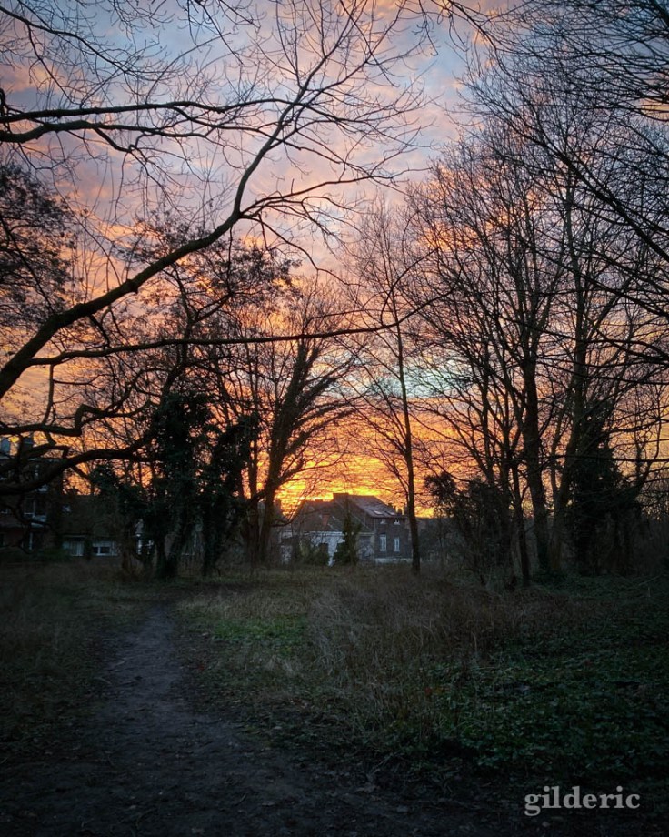 La petite maison dans le crépuscule (Liège, fort de la Chartreuse, janvier 2022)