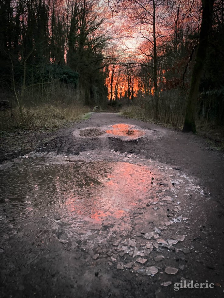 Reflet du crépuscule sur la glace (Liège, fort de la Chartreuse, janvier 2022)