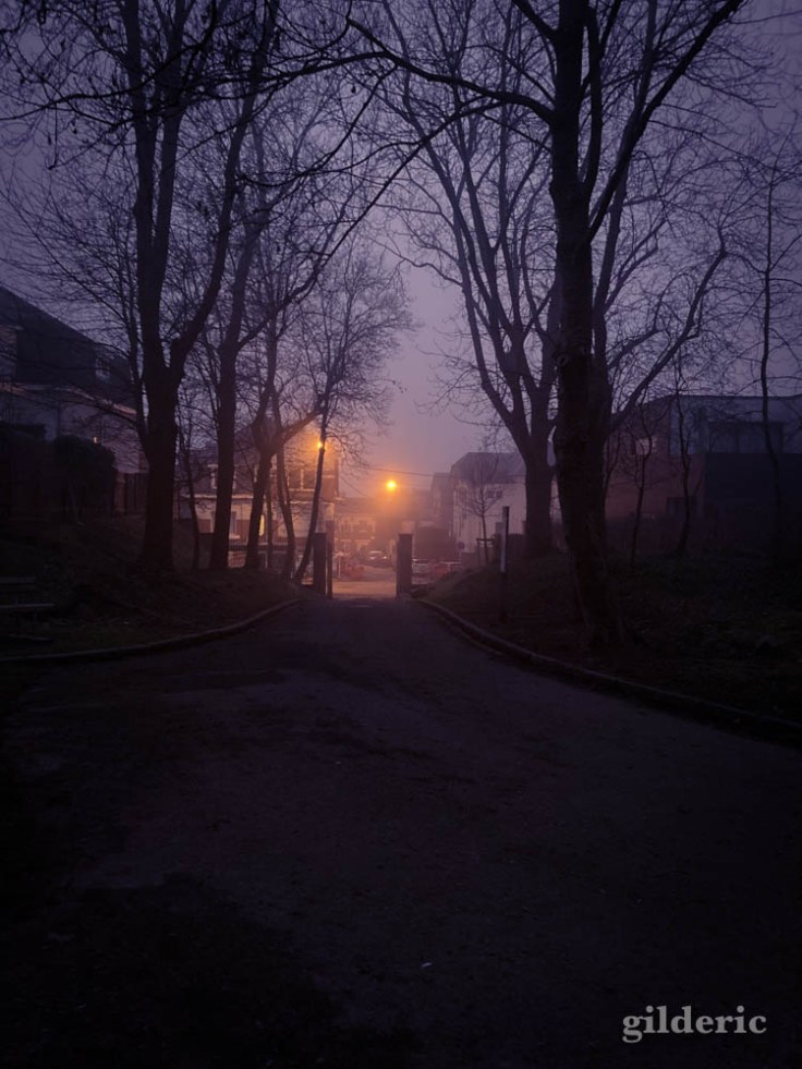 Entrée du Parc du Fort de la Chartreuse - soir brumeux