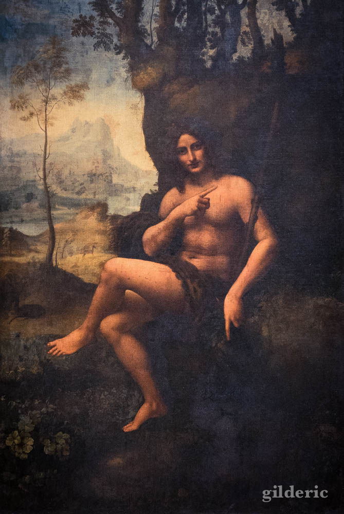 Saint-Jean Baptiste de Francesco Melzi, Musée du Louvre