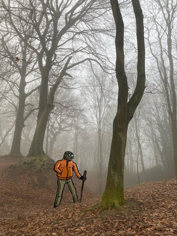 Taupe Chef, en balade au Fort de la Chartreuse - photo+dessin
