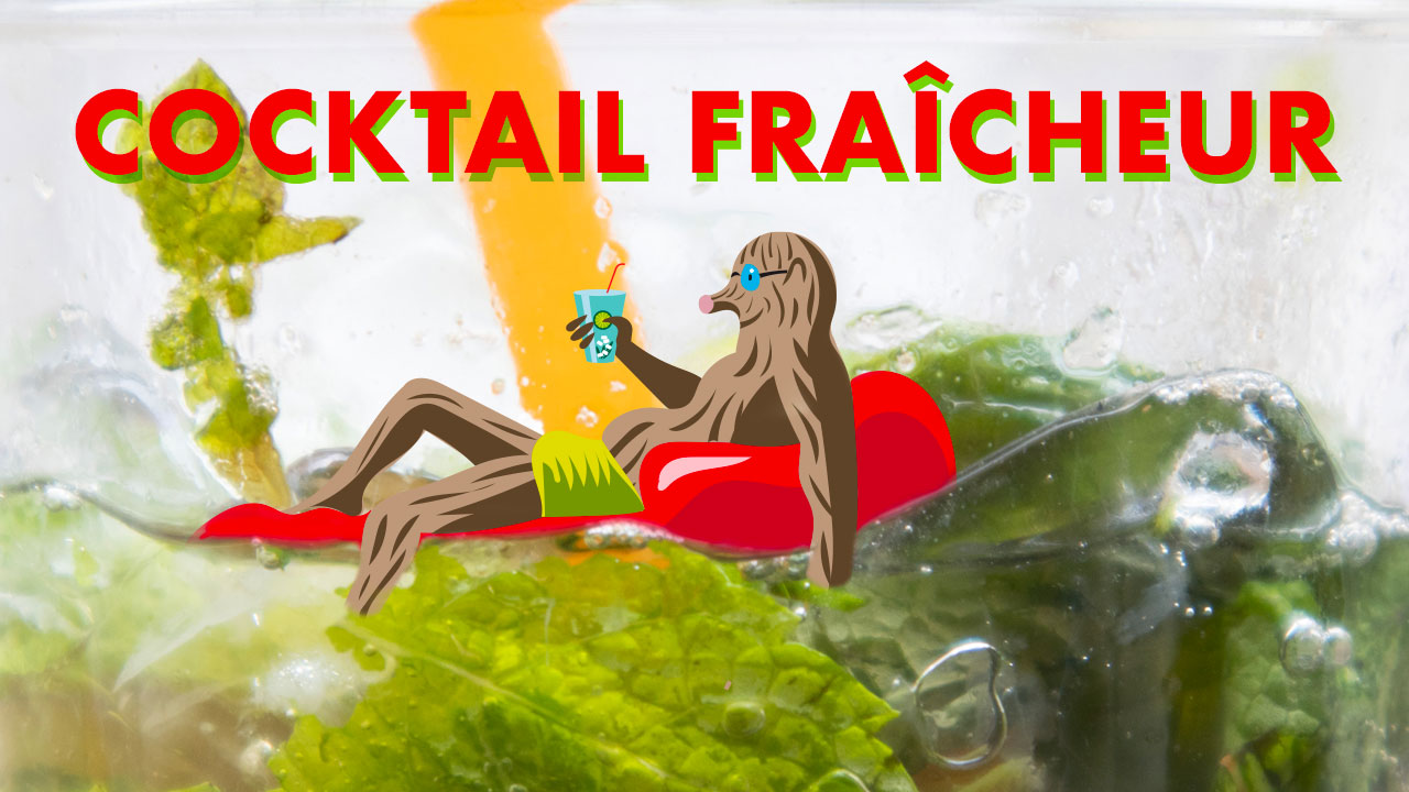 Cocktail fraîcheur anti-canicule