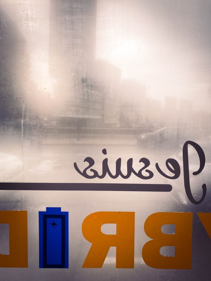 Je suis hybride... et mystérieux (Liège)