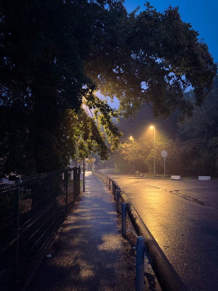 Ambiance mystérieuse et nocturne (Notre-Dame des Bruyères, Liège)