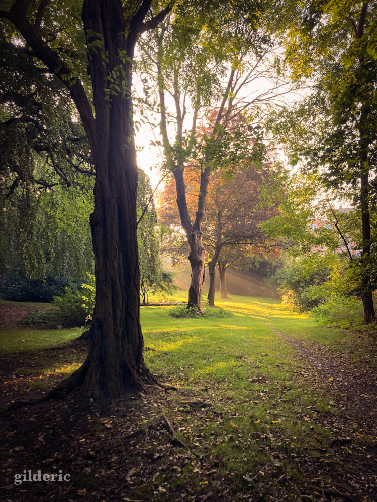 C'est déjà l'automne... au parc de la Chartreuse (Liège)