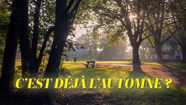 C'est déjà l'automne ?
