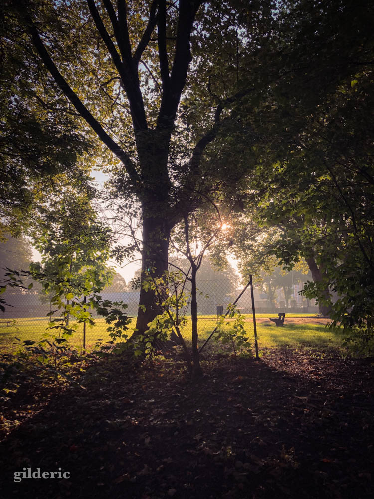 Matin d'automne à la Chartreuse (Liège)