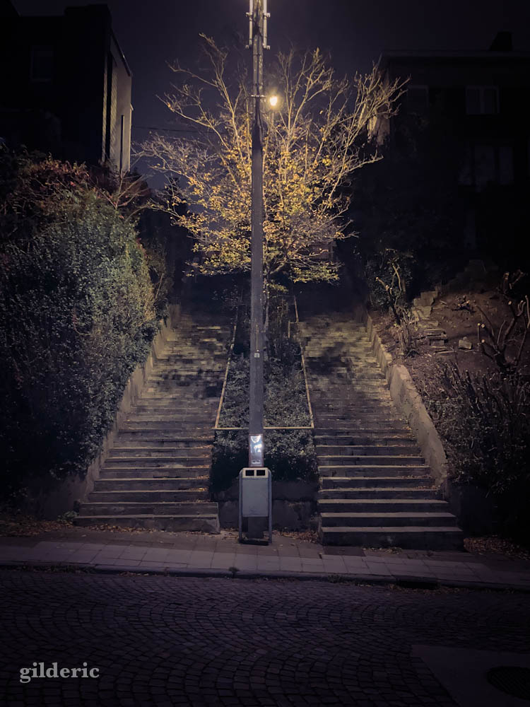 Escaliers avenue de Peville (Liège), un soir d'Halloween...