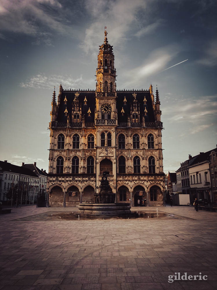 L'hôtel de ville d'Audenarde