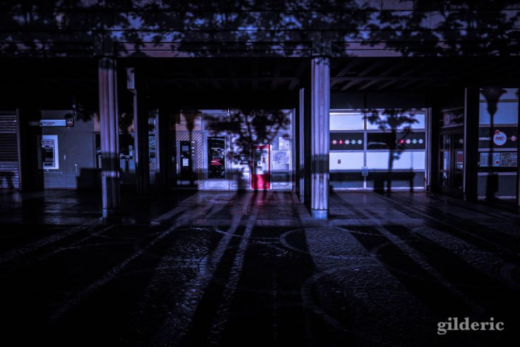 Le monde à l'envers de Liège : un monde crépusculaire, livré aux vignes et à une végétation menaçante.