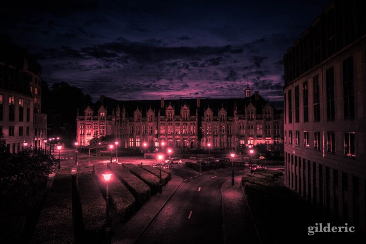 Le Palais des Princes-Évêques de Liège, dans le Monde à l'envers